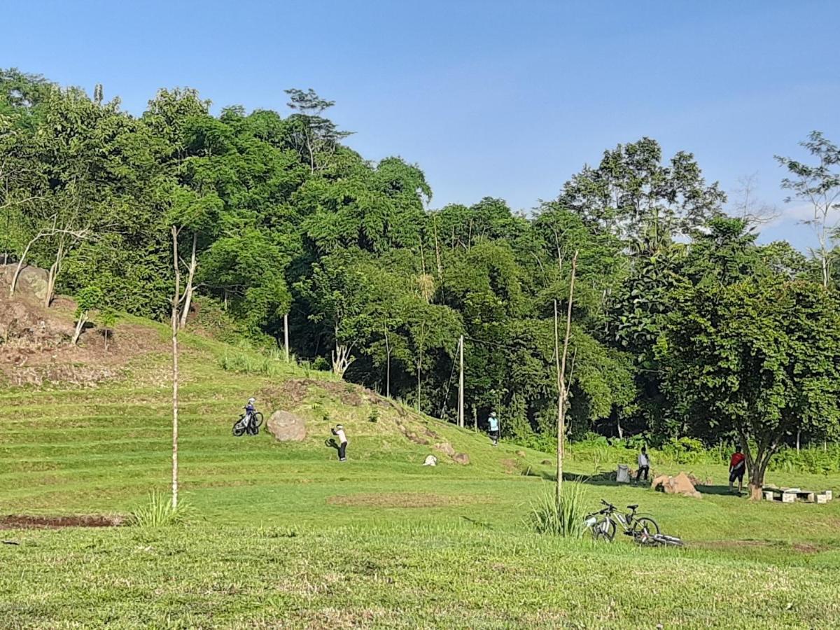 Seger Nusantara Kalisat Exterior photo